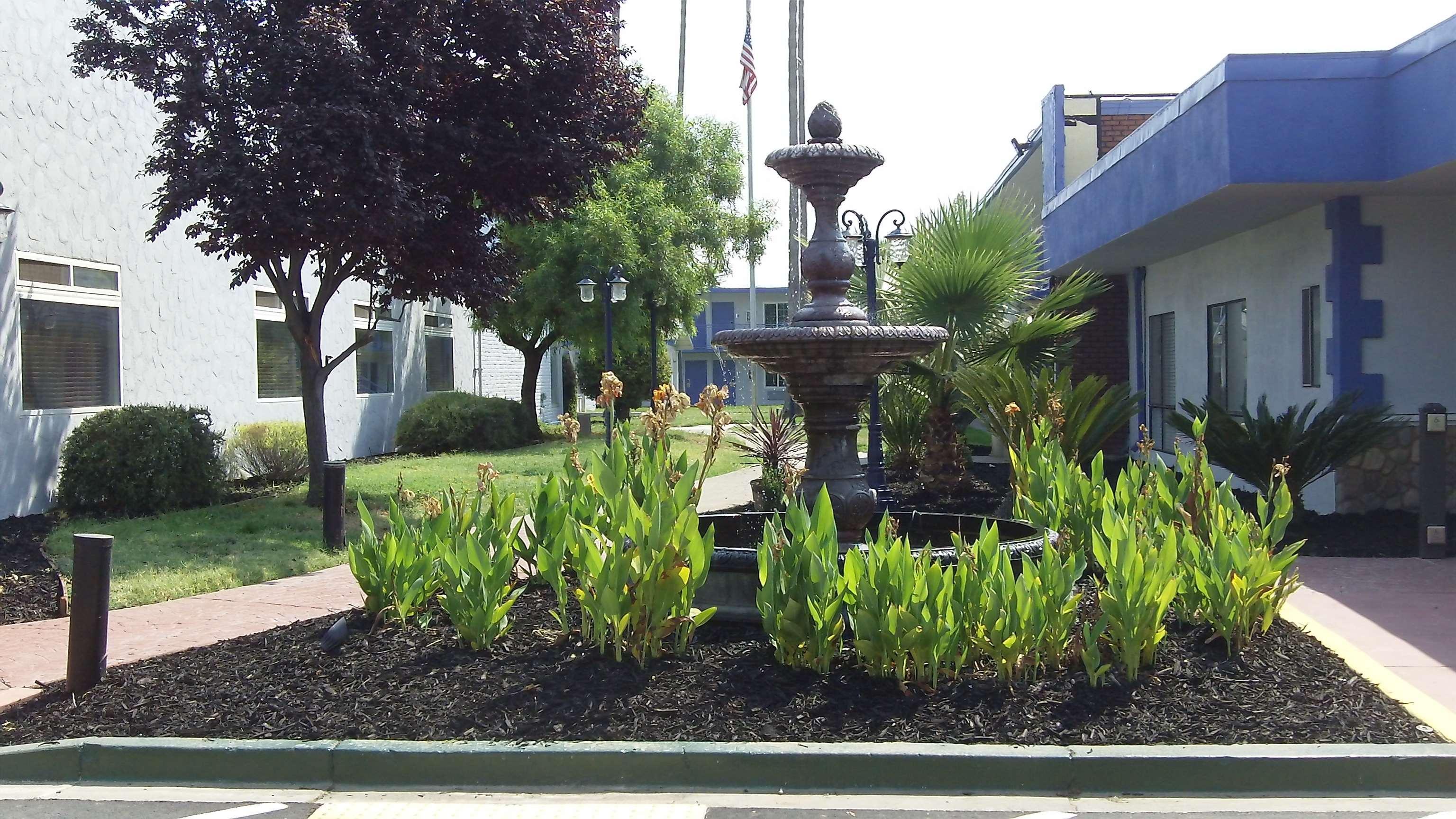Surestay Plus Hotel By Best Western Sacramento Cal Expo Екстер'єр фото