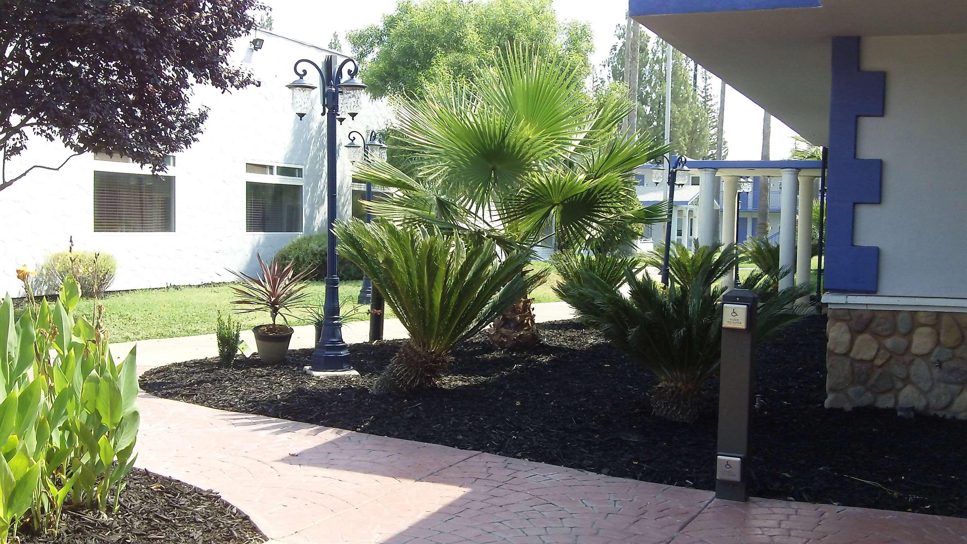 Surestay Plus Hotel By Best Western Sacramento Cal Expo Екстер'єр фото